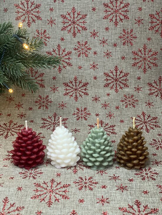 ČIEKURS Bišu vaska svece