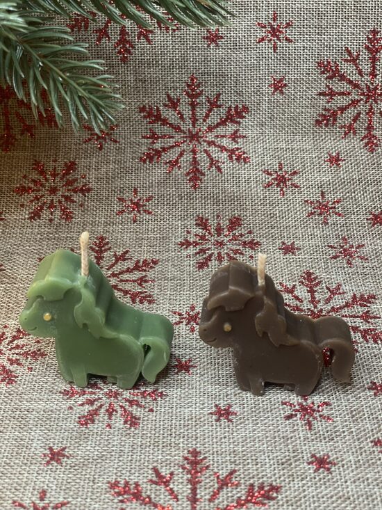 ZIRDZIŅŠ 2026 Bišu vaska svece