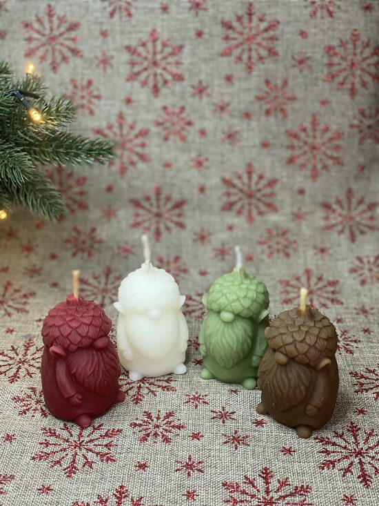 MEŽA GARIŅŠ Bišu vaska svece